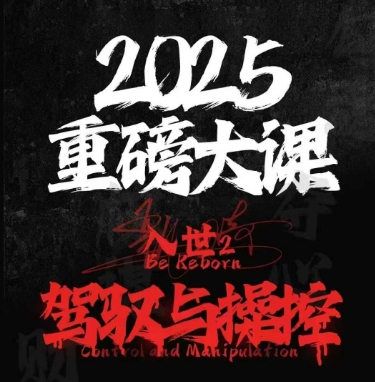 2025重磅大课，入世2，驾驭与控制-最全项目网