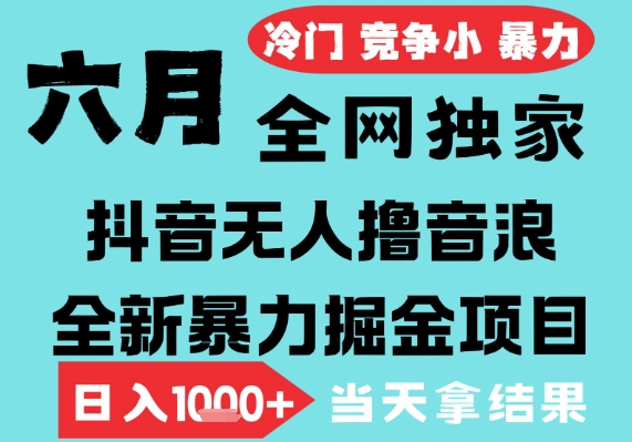2025年6月高爆抖音无人直播最新撸音浪掘金项目，无脑日入1k+，低门槛小白可做，可矩阵放大【揭秘】-最全项目网
