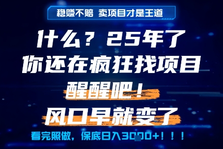什么？25年你还在疯狂找项目做，醒醒吧，看完这些你全都懂了！【揭秘】-最全项目网