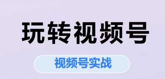 玩转视频号，视频号实战系列课-最全项目网