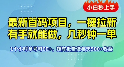 最新首码项目，一键拉新有手就能做，几秒钟一单，1个小时单号可60+，矩阵批量做每天5张【揭秘】-最全项目网