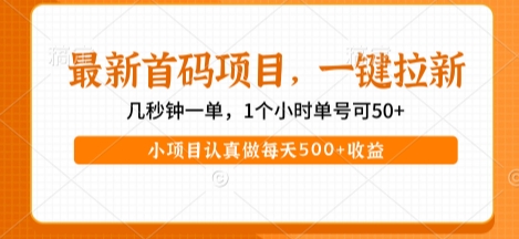 最新首码项目，操作最简单，收益高，一键拉新，1个小时单号可50+，小项目认真做每天5张+收益【揭秘】-最全项目网