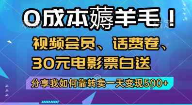 0成本薅羊毛!视频会员、话费卷、30元电影票白送，分享我如何靠转卖一天变现5张+【揭秘】-最全项目网