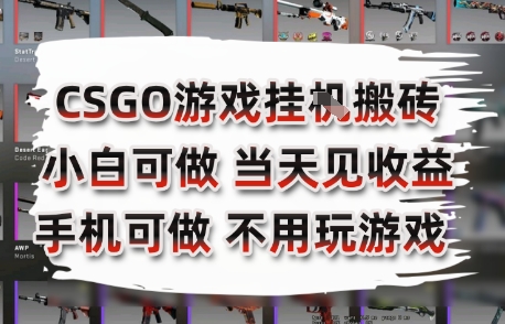 CSGO游戏挂G搬砖，小白纯手机即可操作，不用电脑打游戏，日入3张+，副业网创项目【揭秘】-最全项目网