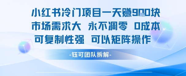 小红书冷门项目一天收益9张，市场需求大，0成本，可复制性强可以矩阵操作-最全项目网