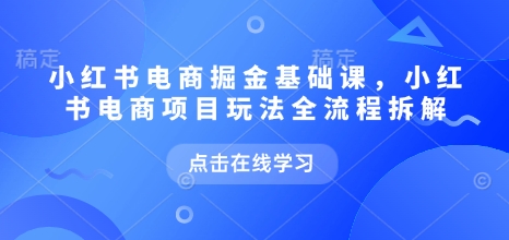 小红书电商掘金课，小红书电商项目玩法全流程拆解（更新7月）-最全项目网