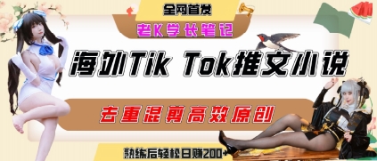海外tiktok小说推文暴力项目，高停留率，高转化率，上手后一天搞顿饭钱不是问题-最全项目网