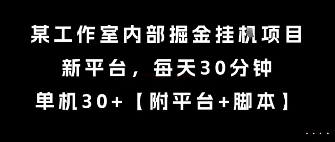 某工作室内部掘金挂G项目，新平台，每天30分钟，单机30+【揭秘】-最全项目网