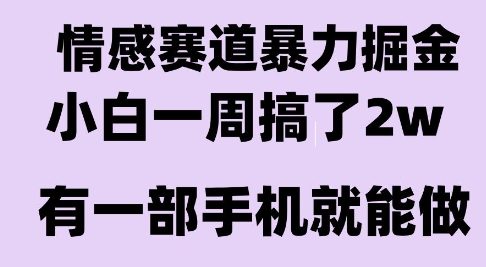 情感暴力掘金项目，新人操作一周挣了2W，长期稳定小白可做【揭秘】-最全项目网