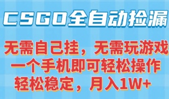 CSGO自动捡漏项目，最新独家玩法，一个手机可操作，新手小白轻松月入1W+，操作简单易上手【揭秘】-最全项目网