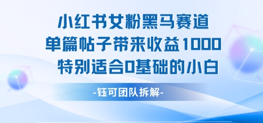 小红书女粉黑马赛道单篇帖子带来收益1k+，特别适合0基础的小白-最全项目网