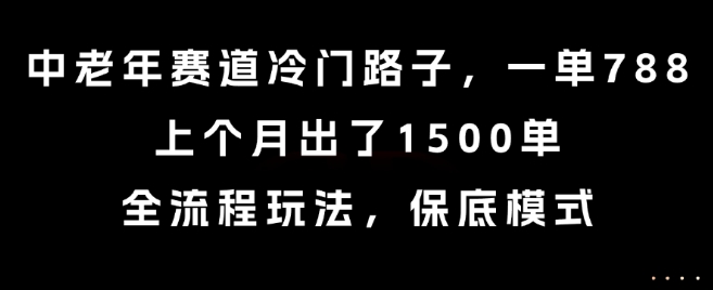 中老年赛道冷门路子，一单788，上个月出了1500单，全流程玩法，保底模式【揭秘】-最全项目网