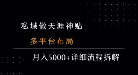 私域做天涯神贴 多平台布局 月入5k+详细流程拆解-最全项目网