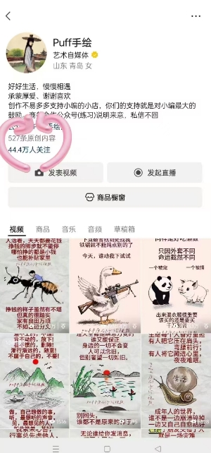 Puff手绘视频号分成项目，三天过分成计划，简单易上手，适合新手-最全项目网