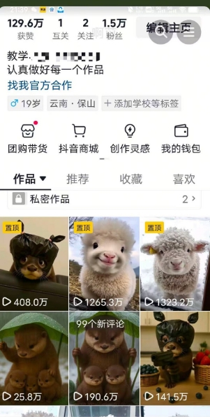 抖音65W博主AI萌宠课程，新赛道流量大，原创+二创，全套课程+提示词-最全项目网