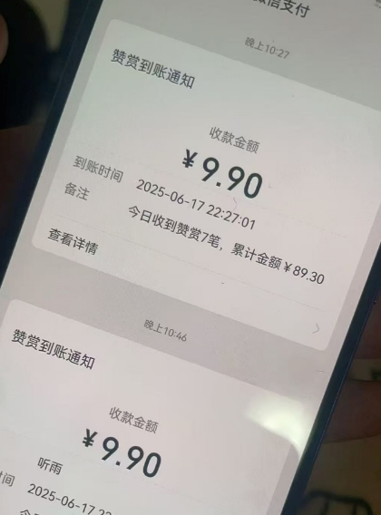 二次元男粉快速变现项目，私域卖虚拟产品，百分利润-最全项目网