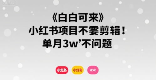 小白可来 小红书项目不需要剪辑 单月3w不是问题-最全项目网