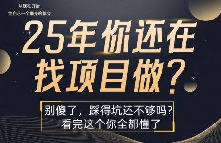 25年，你还在疯狂的找项目吗？别傻了，看完这个你都懂了【揭秘】-最全项目网