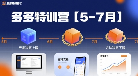 多多特训营【5-7月】产品决定上限，方法决定下限，各种玩法技巧落地实操-最全项目网