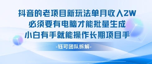 老项目新玩法单月收入2W小白有手就能操作长期项目-最全项目网