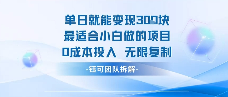 单日就能变现3张最适合小白做的项目0成本投入 无限复制-最全项目网
