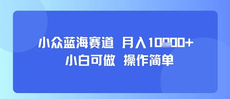 小众蓝海赛道，小白可做，操作简单，每天30分钟，月入1W+-最全项目网