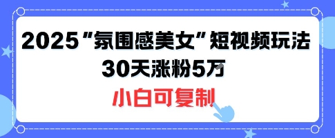 不露脸也能火！2025“氛围感美女”短视频玩法，30天涨粉5W小白可复制-最全项目网