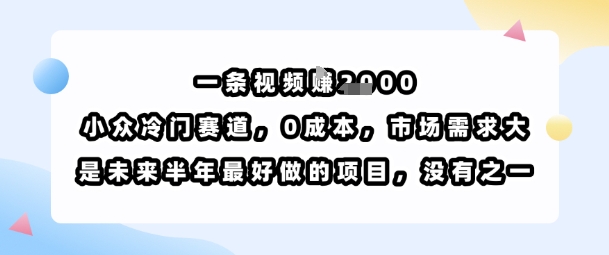 一条视频挣1k，小众冷门赛道，0成本，市场需求大，是未来半年最好做的项目，没有之一-最全项目网