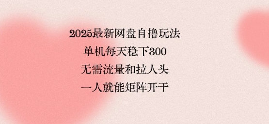 2025最新网盘自撸玩法，单机每天稳下3张，无需流量和拉人头，一个人就可轻松矩阵，全网独一份【揭秘】-最全项目网