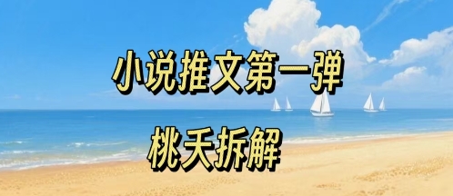 小说推文项目操作全流程第一弹，0粉就能做，门槛低非常适合新手-最全项目网
