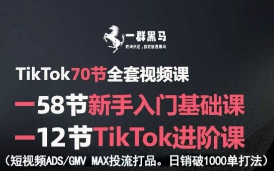 TikTok全套视频课，新手入门+进阶课，短视频ADS-GMV MAX投流打品，日销破1000单打法-最全项目网