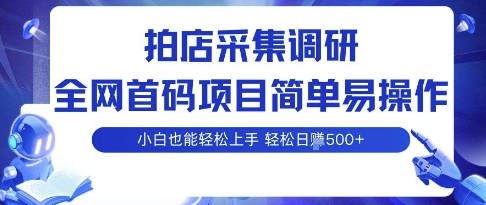 拍店采集调研，全网首码项目，简单易操作， 小白也能轻松上手，多账号操作，轻松日入5张【揭秘】-最全项目网