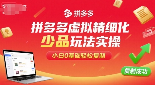 拼多多虚拟精细化少品玩法实操，小白0基础轻松复制-最全项目网