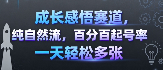 成长感悟赛道，纯自然流，百分百起号率 一天轻松多张-最全项目网