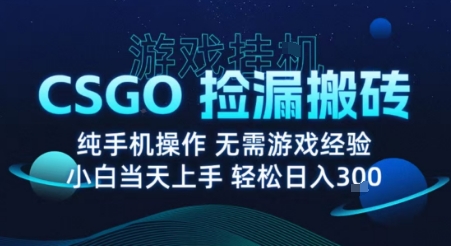 8月最新游戏搬砖，CSGO纯挂G，不需要玩游戏，实现真挂G，月入1W+【揭秘】-最全项目网
