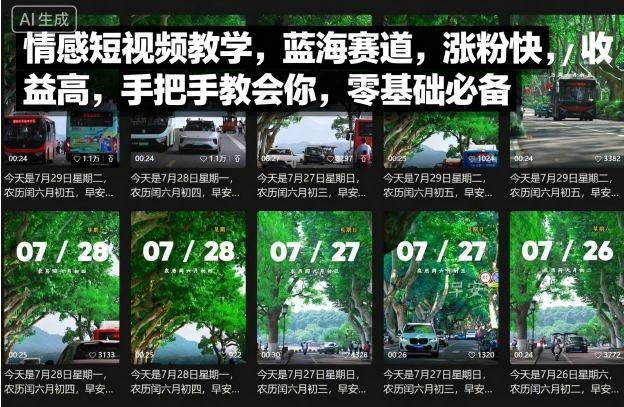 情感短视频教学，蓝海赛道，涨粉快，收益高，手把手教会你，零基础必备-最全项目网