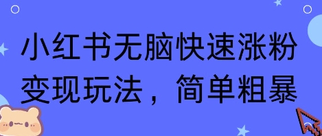 小红书无脑快速涨粉变现玩法，简单粗暴-最全项目网