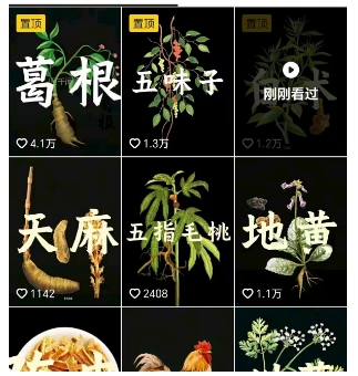 抖音中草药赛道，用AI做中草药故事视频，45条作品涨粉13W，橱窗带货猛猛出单-最全项目网