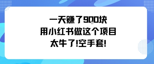 一天挣了9张用小红书做这个项目太牛了，空手套-最全项目网