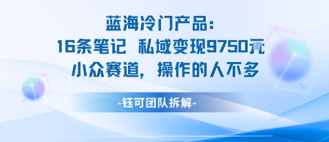蓝海项目：16条笔记私域变现9750米小众赛道操作的人不多-最全项目网