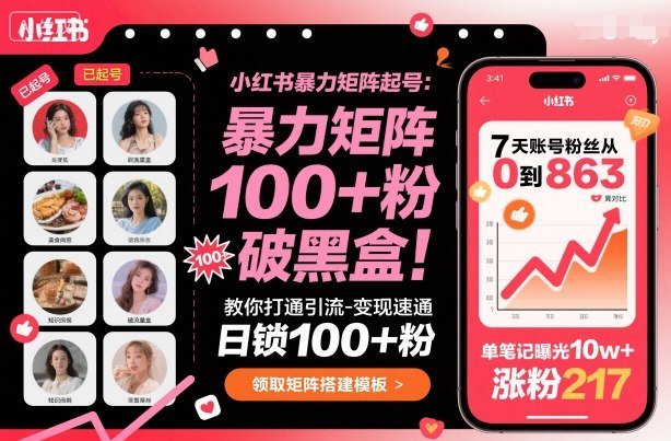 小红书暴力矩阵起号，教你打通引流-变现速通，日锁100+粉，破流量黑盒-最全项目网