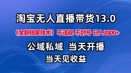 淘宝无人直播13.0，公域私域技术，不封号，不违规布局下半年旺季赛道，日入1K+（独家技术）【揭秘】-最全项目网