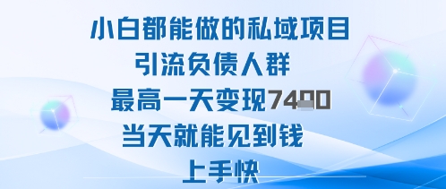 2025年小白都能做的私域项目引流负债人群最高一天变现1k+高变现难度低当天就能见到钱上手快-最全项目网