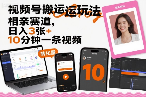 视频号搬运玩法，相亲赛道，日入3张+，10分钟一条视频-最全项目网