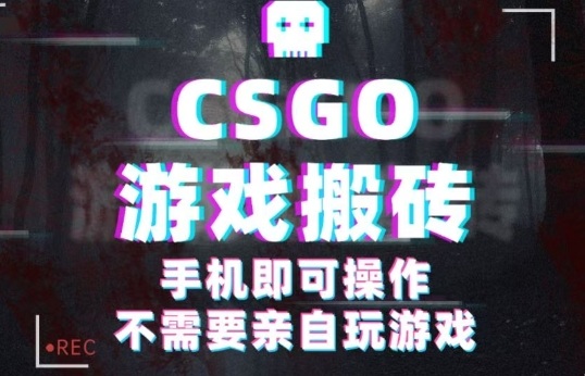 CSGO游戏挂G捡漏，单日扫货5张+，年底小高峰上车可吃肉，手机即可操作，兼职副业创业网创【揭秘】-最全项目网