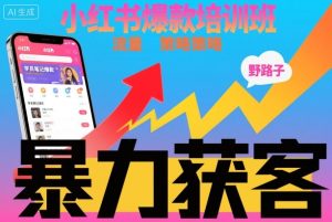 小红书爆款培训班，小红书获客野路子流量打法，暴力持续获客-最全项目网