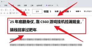 25年底翻身仗,靠CSGO游戏挂G捡漏掘金,搞钱回家过肥年【揭秘】-最全项目网