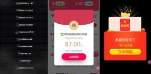 网络项目万能辅助工具_万能配合拉新项目吃遍提成-最全项目网