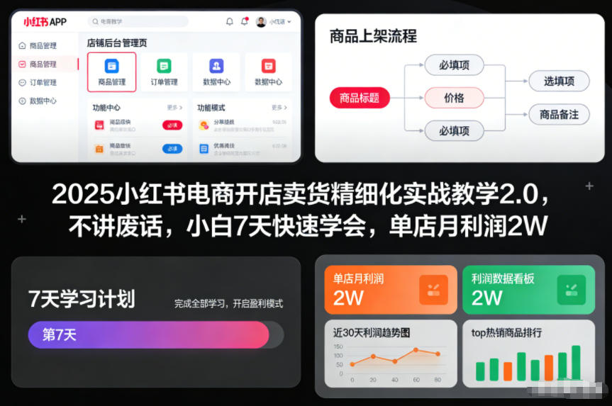 2025小红书电商开店卖货精细化实战教学2.0，不讲废话，小白7天快速学会，单店月利润2W-最全项目网