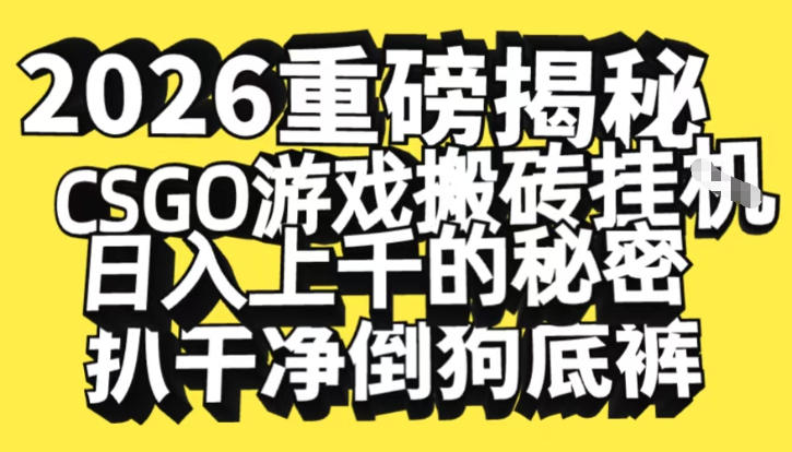 2026开年重磅解密，CSGO游戏搬砖挂G日入1k+的秘密，把倒狗的底裤扒干【揭秘】-最全项目网